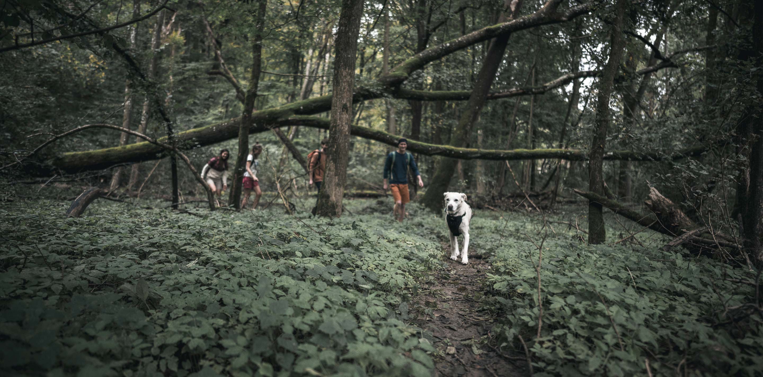 climbing-sports-clothing-streetwear-fashion-sustainability-chillaz-header2880x1425